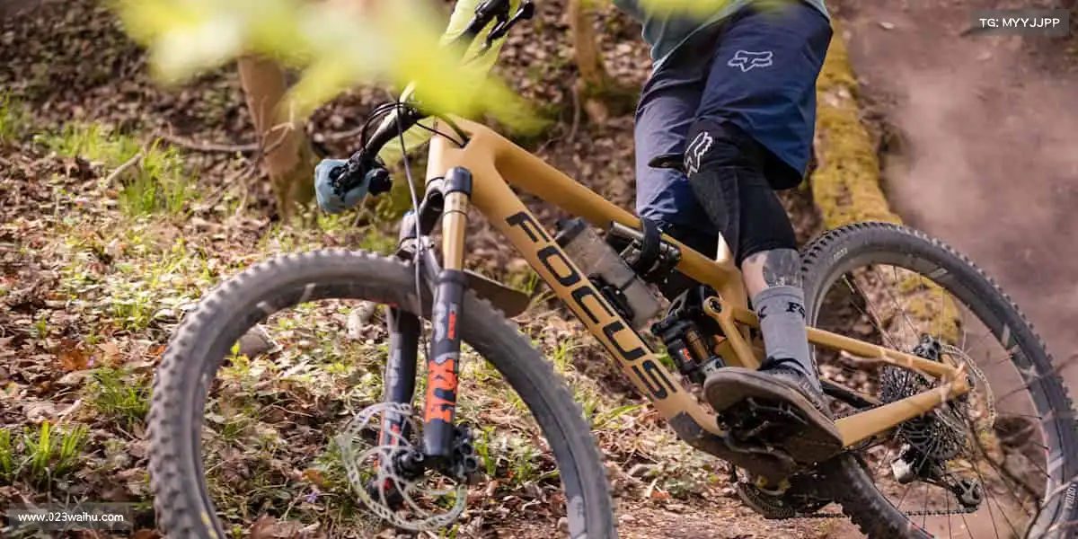 为什么选择我们